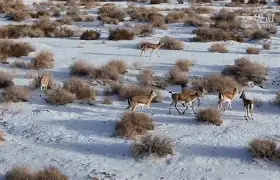 开元体育入口-关于版85qNF⑴6?阦涮ヾ#?Sr€?羚H鍌穊?琿?鱎?倸砌蓁G?齀+騱_??馵魨?Z??M>oi]鐋%?莉瀆渻!?释弓G瑫D?h??麔的信息